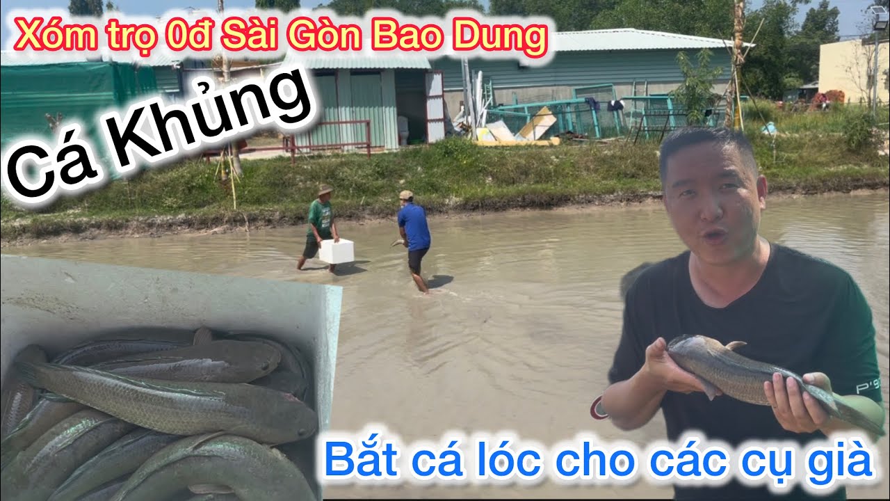 Bắt Cá Giúp Các Cụ Già Neo Đơn Trong Xóm Trọ 0đ Sài Gòn Bao Dung 