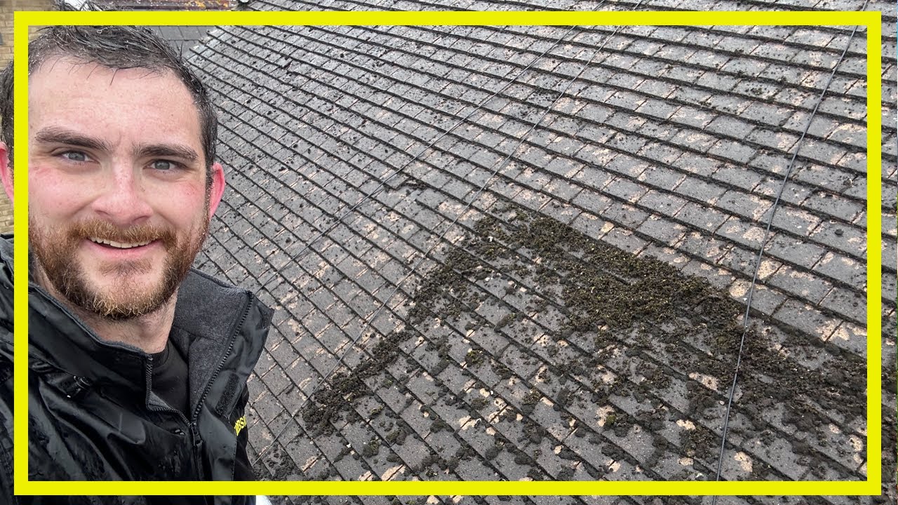Scraping a Roof in the RAIN?! Roof Cleaning Video