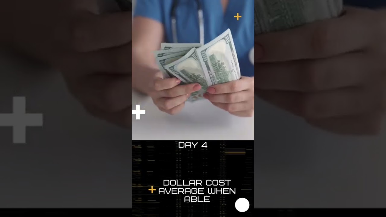 Drip Network Animal Farm V2 day 4 announcement launch date