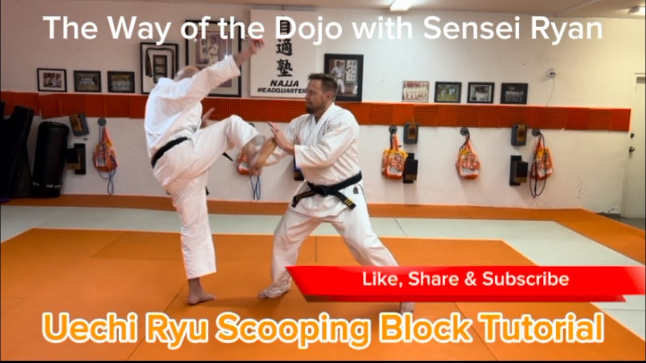 Uechi Ryu Karate Scooping Block Tutorial