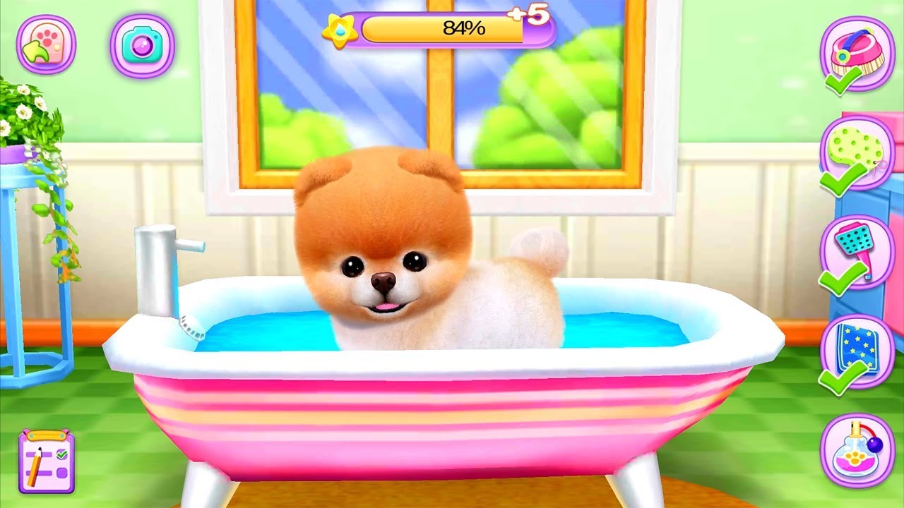 Boo The World's Cutest Dog Android Gameplay