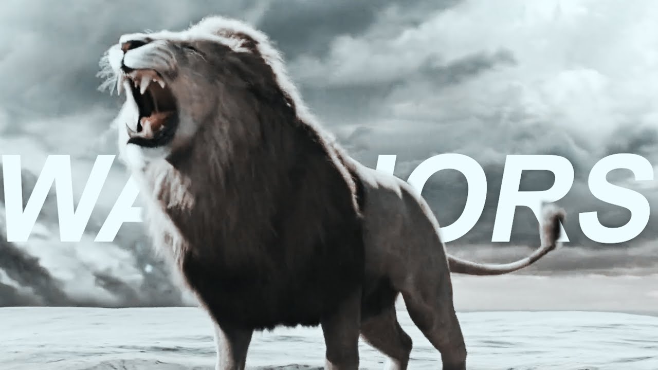 Narnia | Warriors