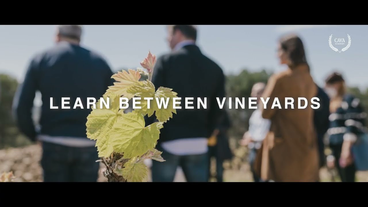 CAVA ACADEMY: Cava Educator Advanced Level Certified (Live on-site course)