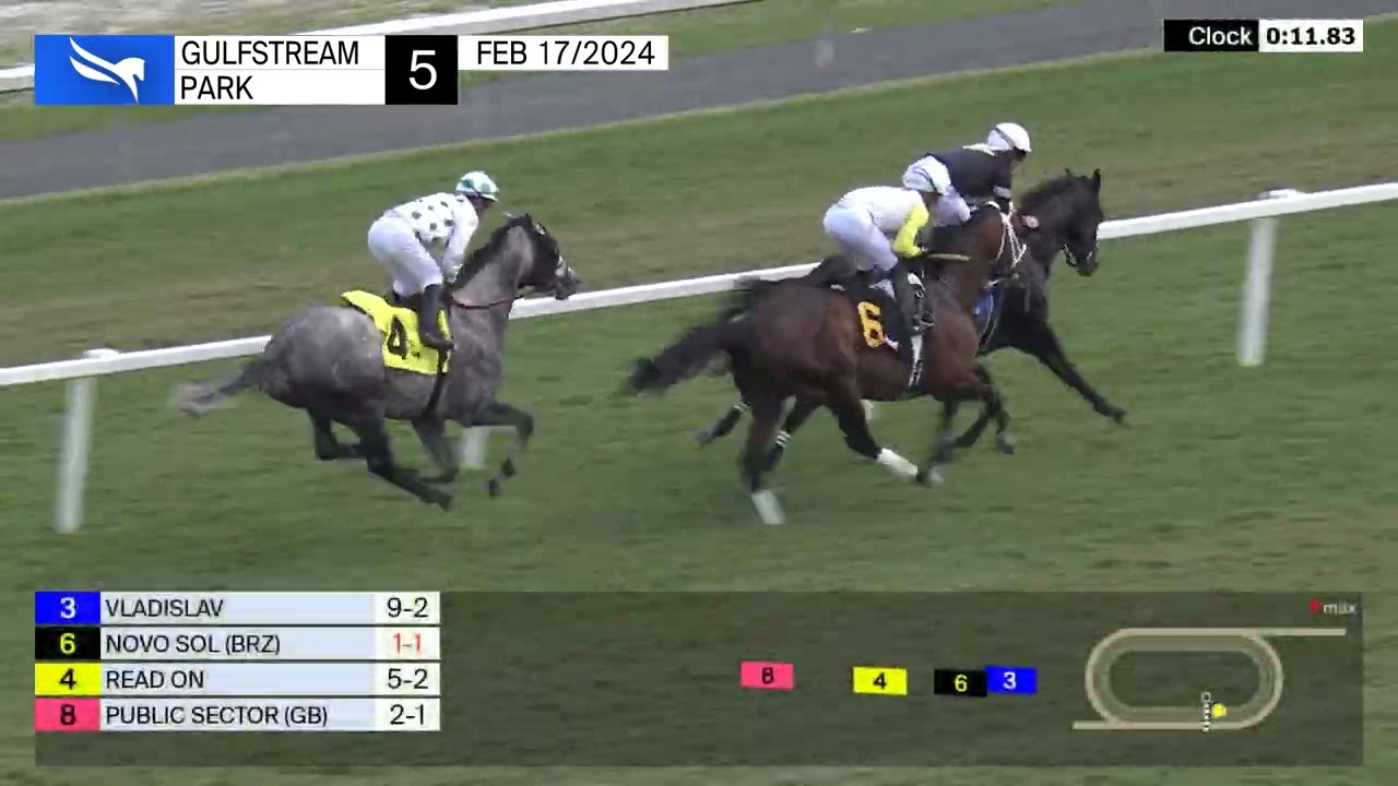 Gulfstream Park Replay Show | February 17, 2024