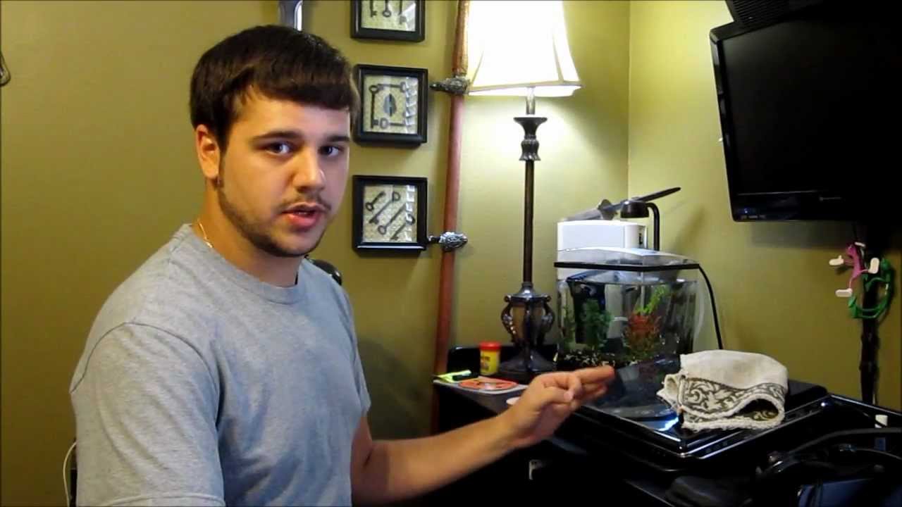 hydor theo heater review