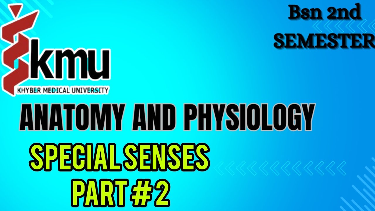 Special Senses | Anatomy & Physiology of Eye | Bsn | Post RN 