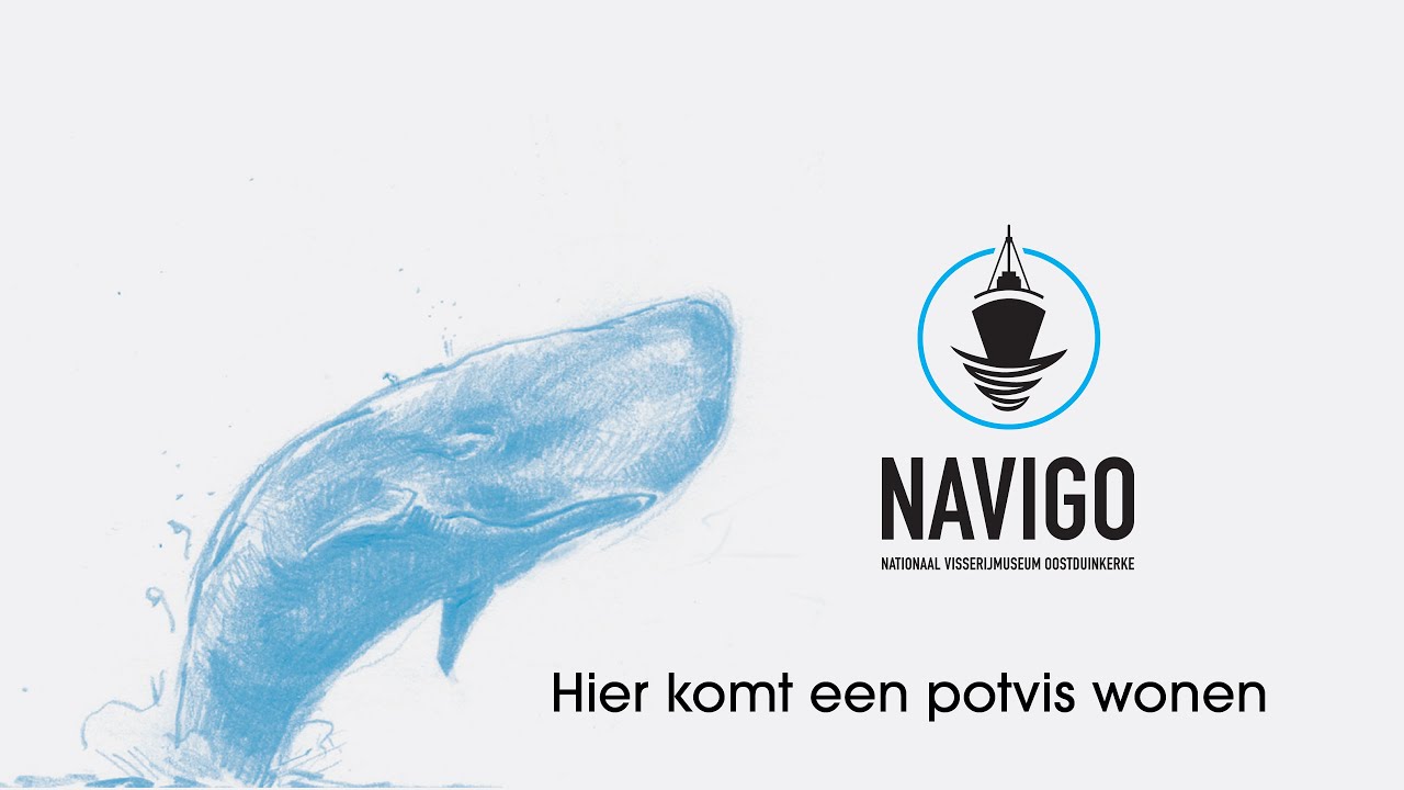 Informatiefilm NAVIGO-museum: hier komt een potvis wonen