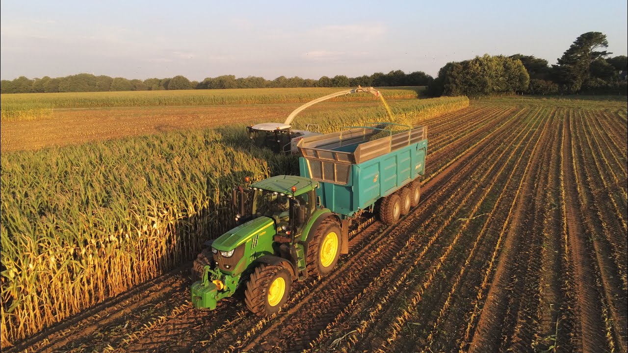 Une rollspeed 8851 a l’ensilage 2022 sous le lever du soleil ☀️