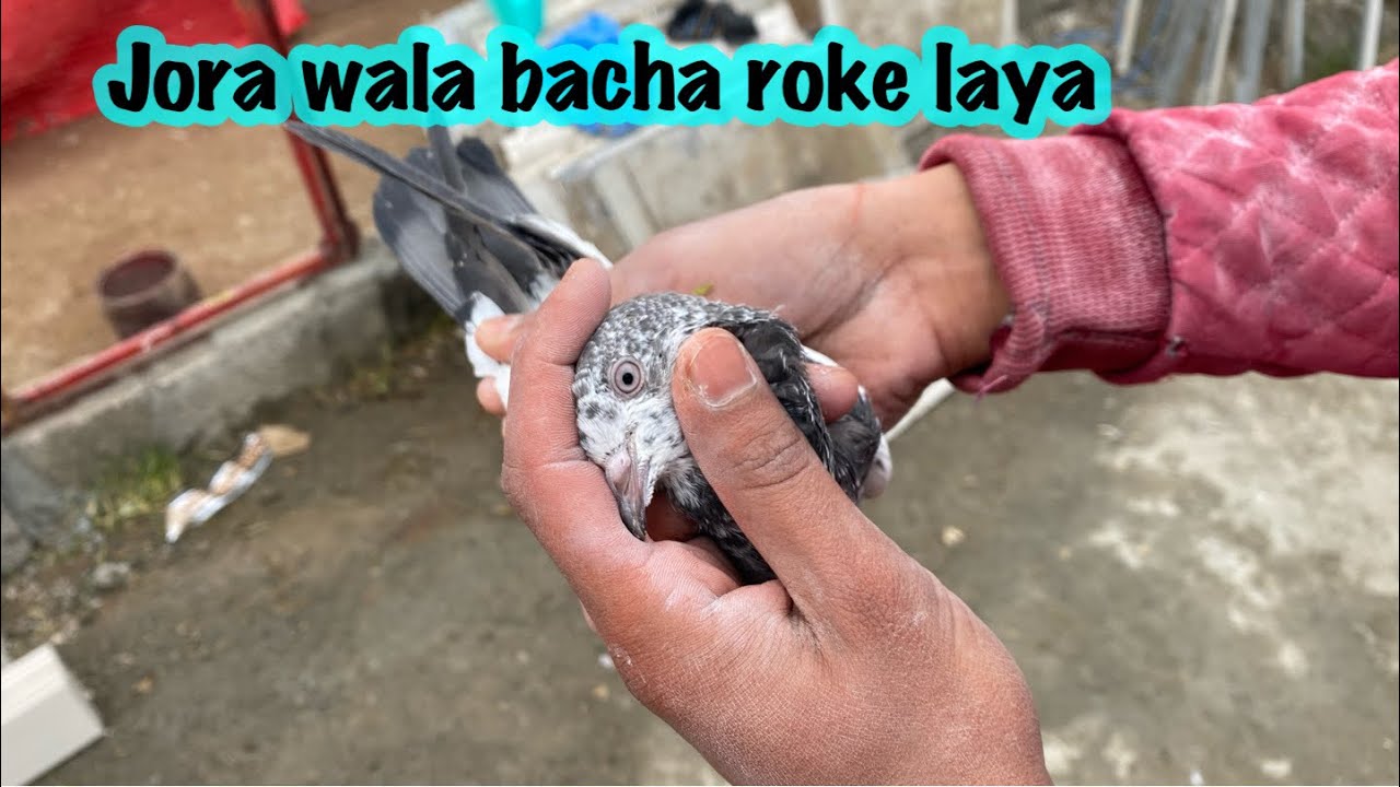 My First veloge batao kasa banaya ha 🫣🫣like and scriber