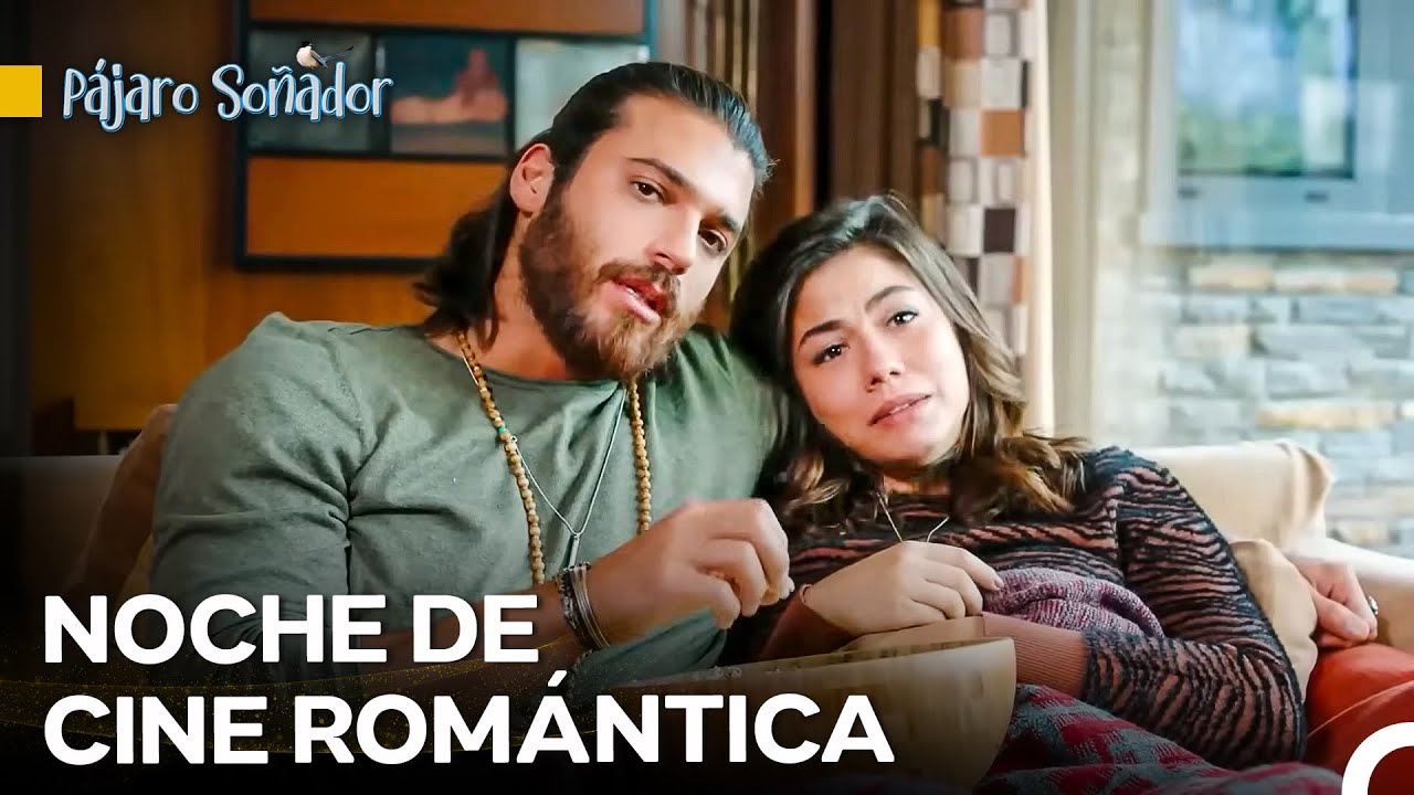 Can Y Sanem A Solas En Casa - Pájaro Soñador