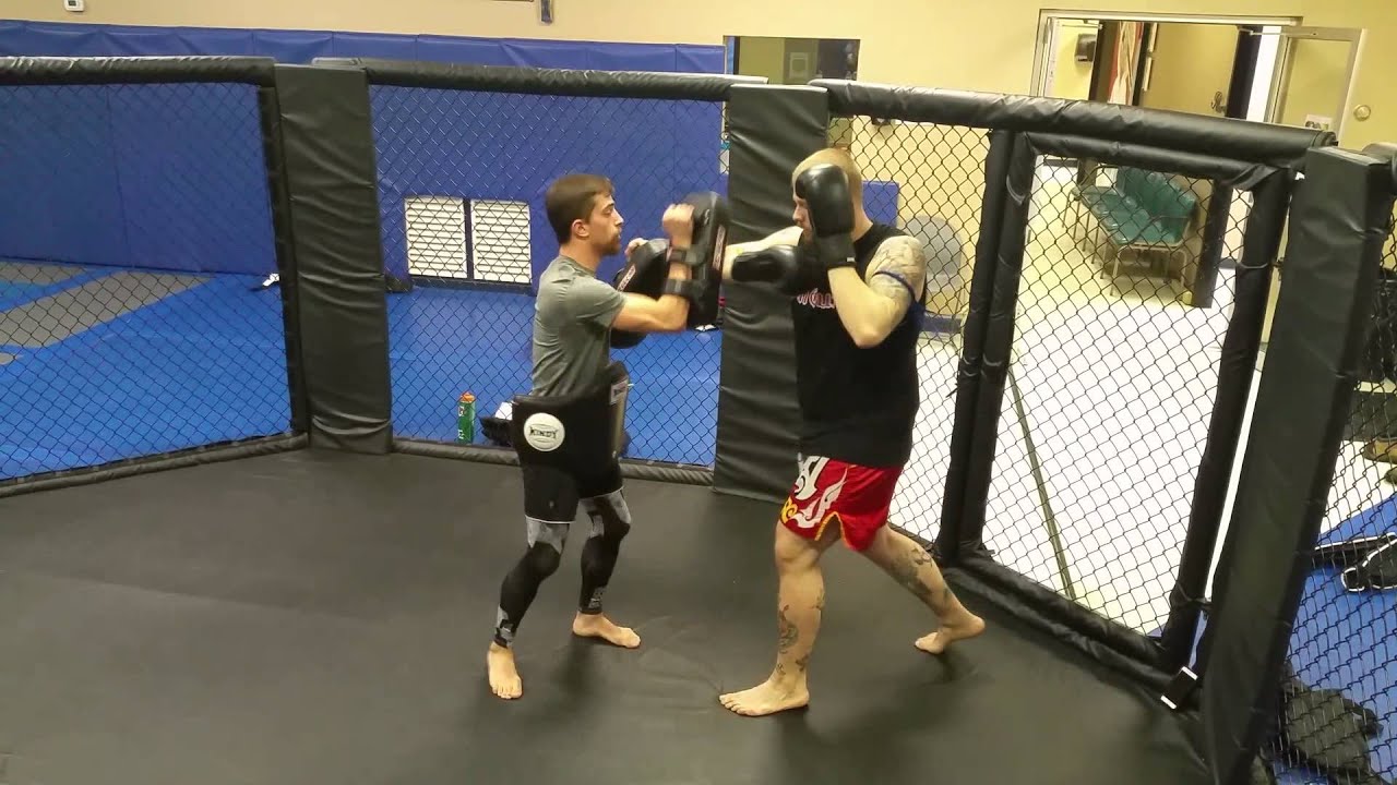 Thai Boxing Association - 15 Count