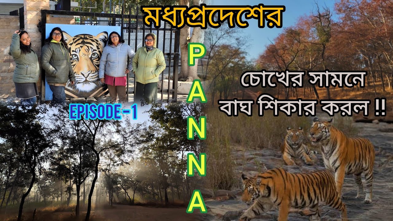 বাঘের জঙ্গলে প্রথম দিন: যা দেখলাম অবাক হয়ে গেলাম!#pannatigerreserve  Ep-1