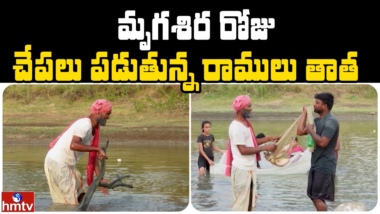 మృగశిర రోజు చేపలు పడుతున్న రాములు తాత | Jordar Ramulu | Jordar News | hmtv