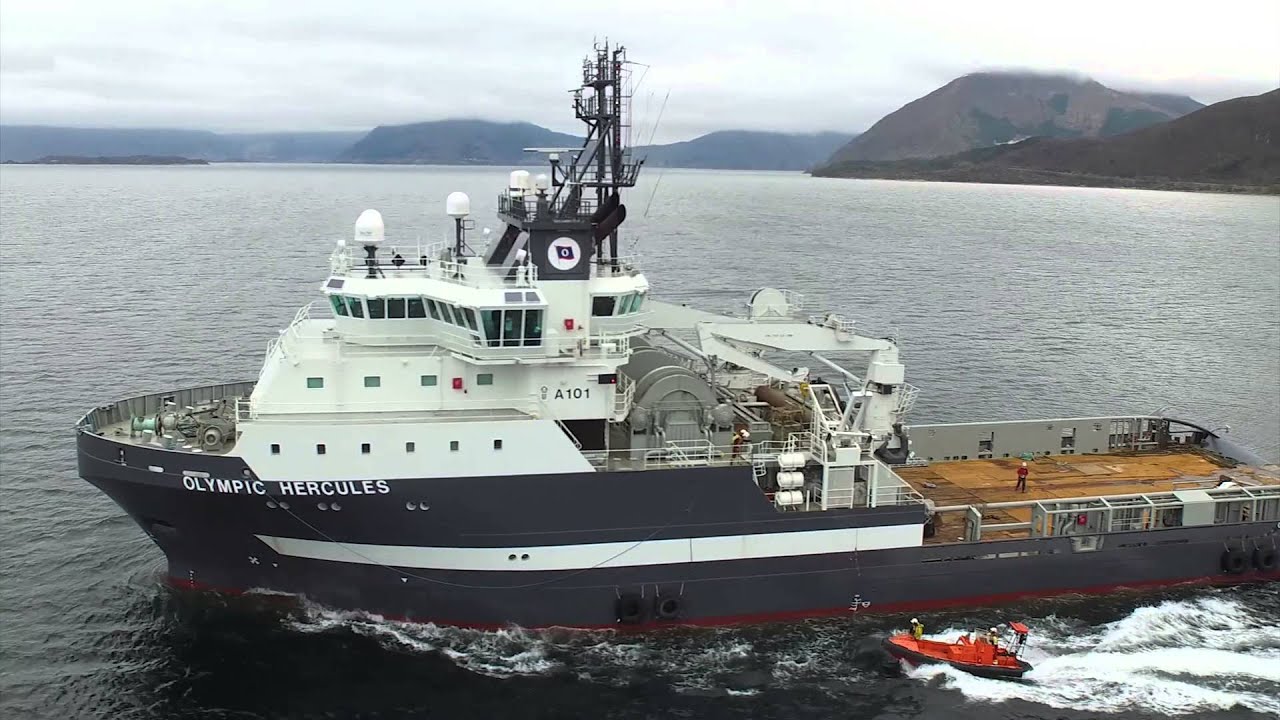 OLYMPIC HERCULES