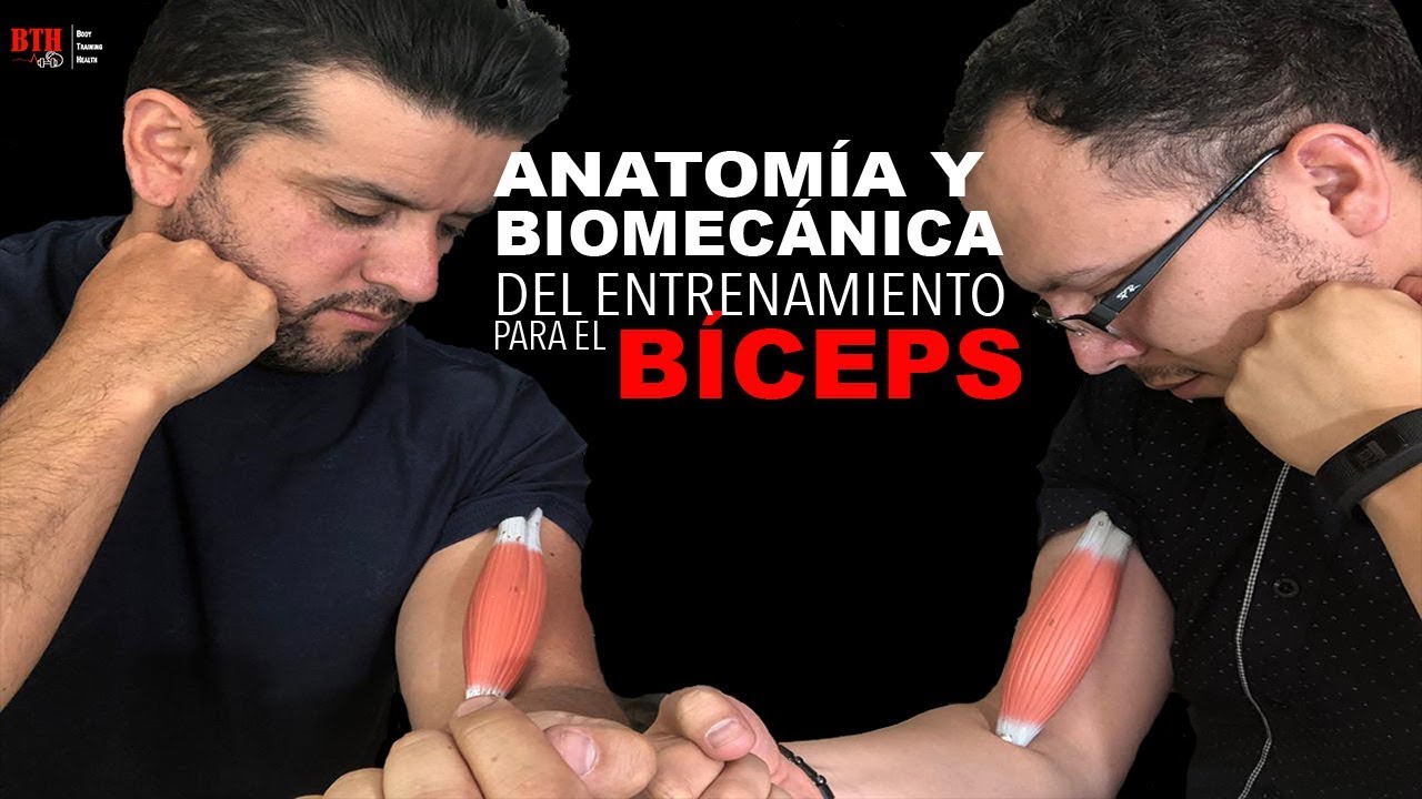 ENTRENAMIENTO DE BÍCEPS - ANALISÍS BIOMECÁNICO Y ANATÓMICO