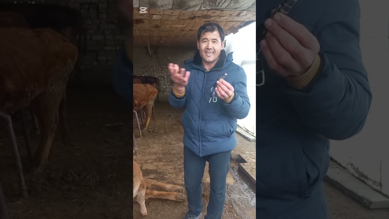 СИГИРИМИЗНИНГ ИЧИДАН ТЕМИР БУЛАГИНИ ОЛДИК, ВРАЧДАН ФОЙДАЛИ МАСЛАХАТЛАР