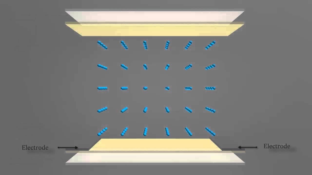 In-plane Switching Liquid Crystal Display (IPS LCD)