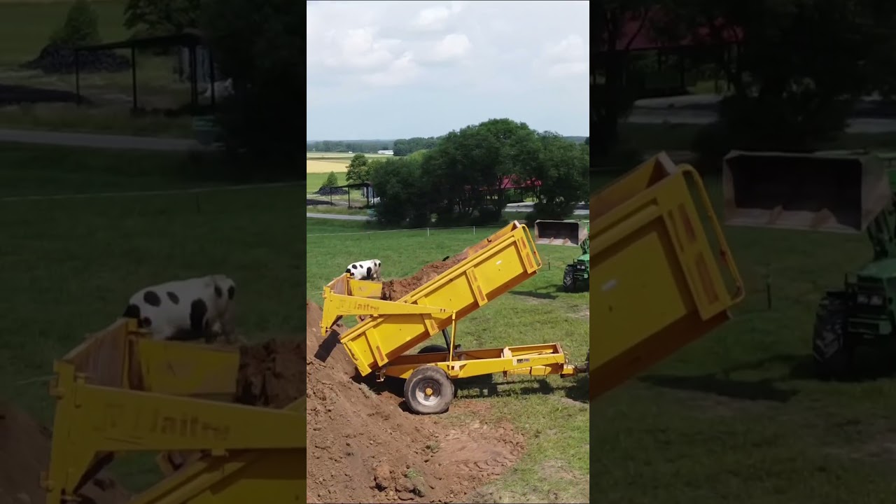 Wyw&oacute;z ziemi 2023! #dc #dlaciebie #oporowo #akcja #johndeere #lato #agriculture #ensilage #shorts