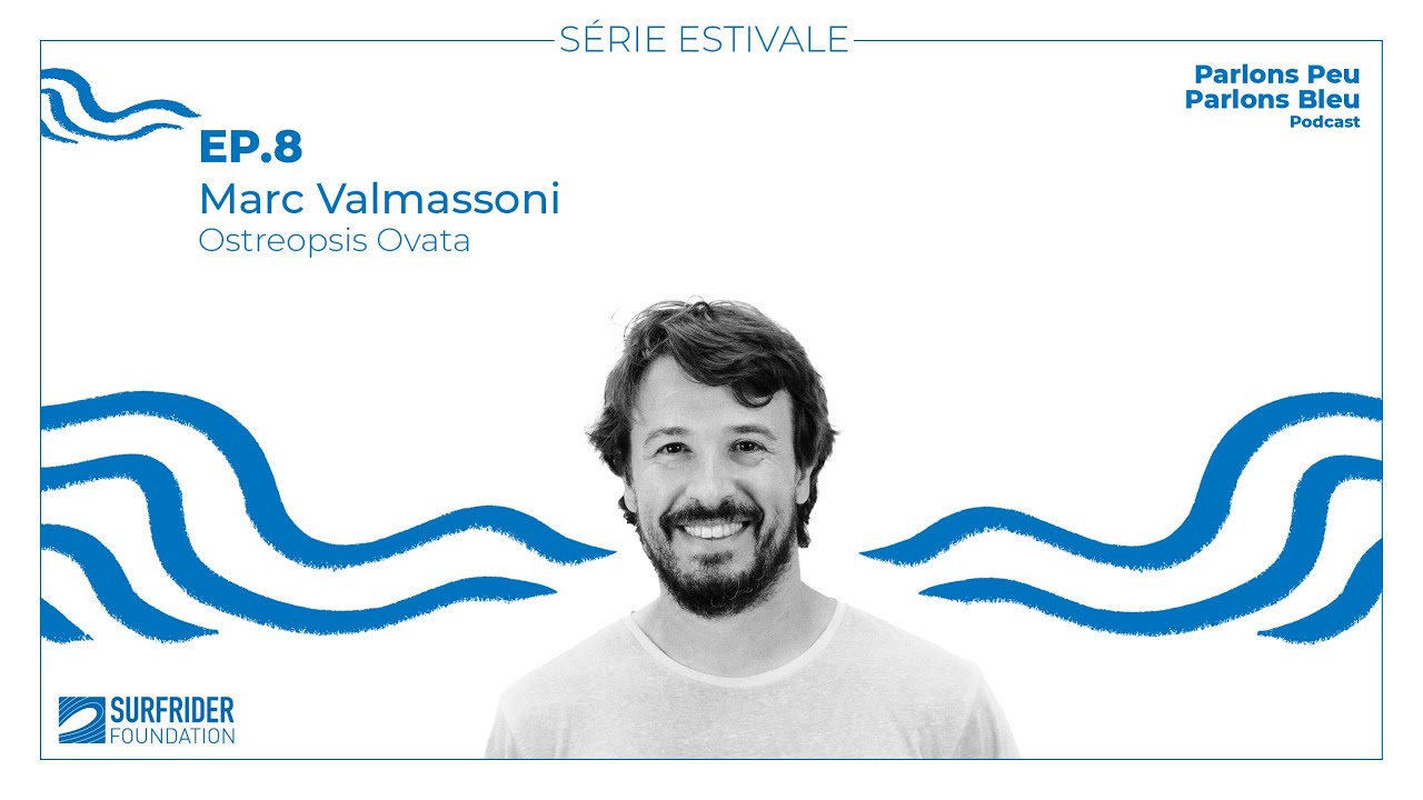 EP 8 - Marc Valmassoni : Ostreopsis, l'algue invisible et nuisible