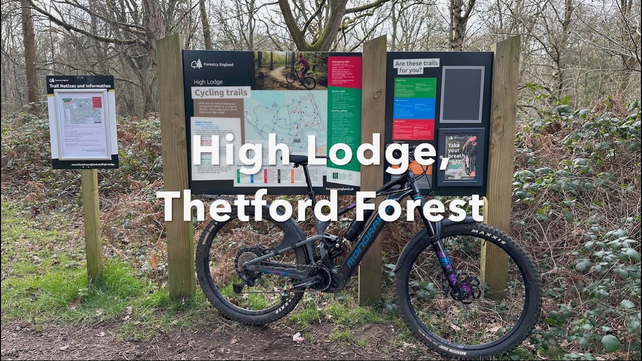 High Lodge, Thetford Forest - 21st February 2025