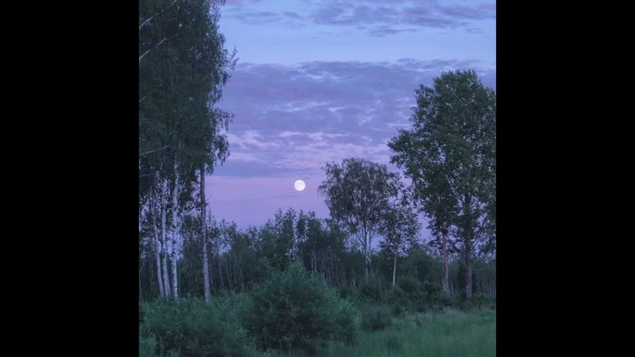 (FREE) nokia angel + witch house + experimental ambiant type beat - 