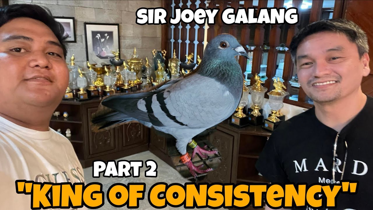 BUMILI ULIT TAYO NG KALAPATI KELA SIR JOEY GALANG 😁