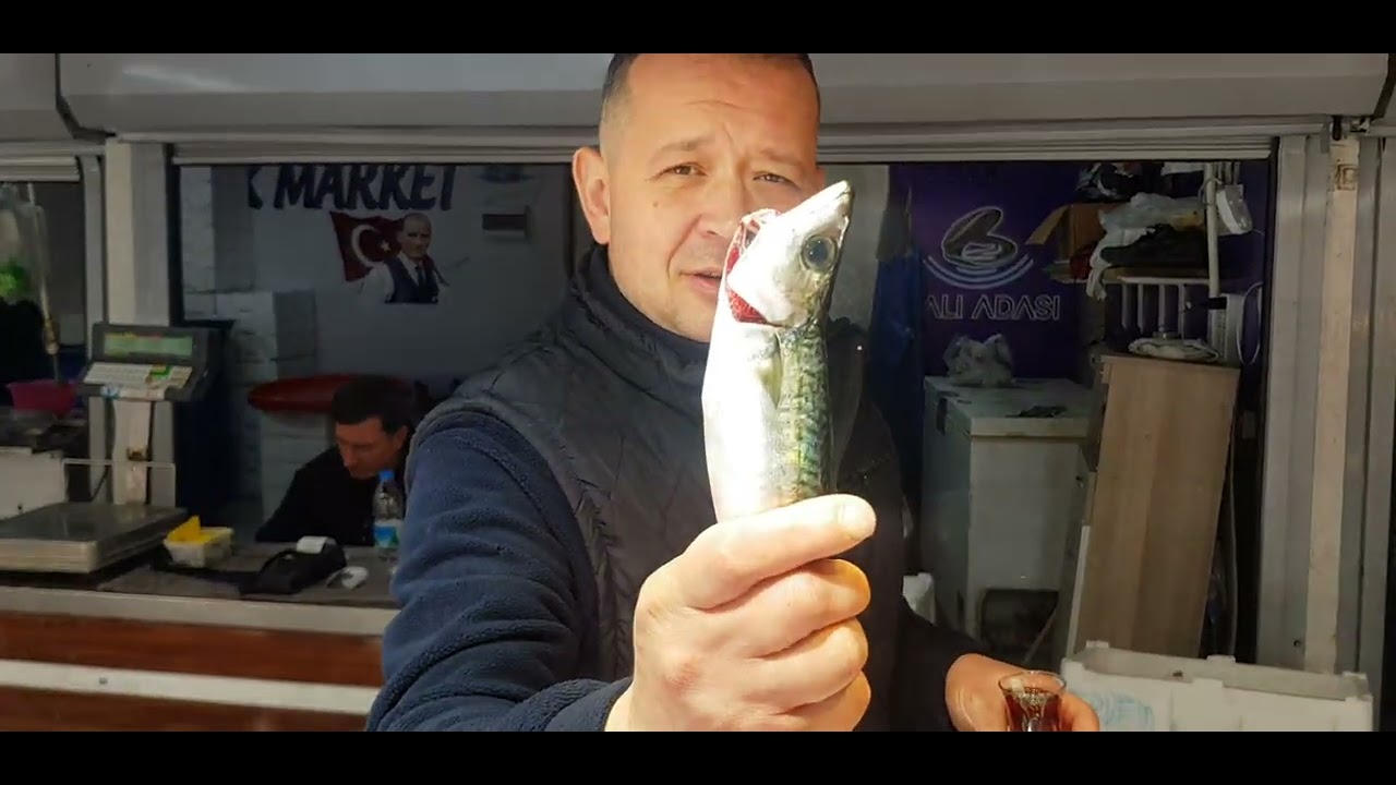 Bandirma  turkey 2025 kudis