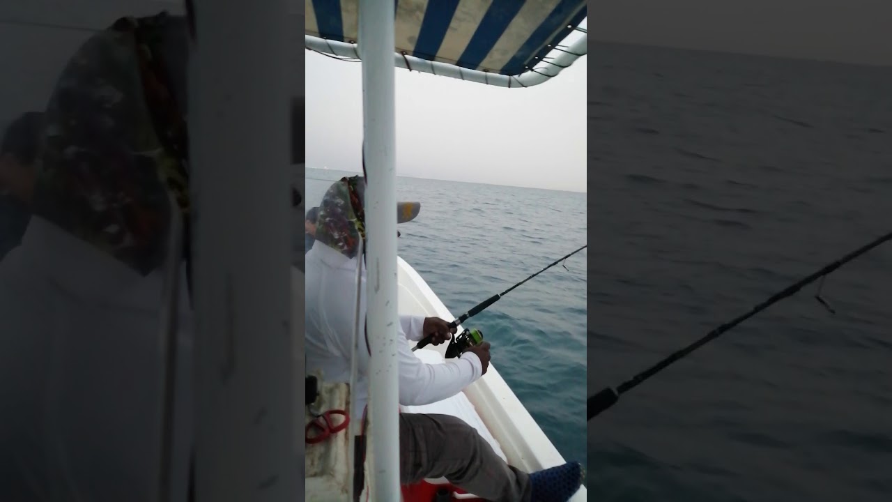 Angler Shaheen catch GT#Rabeeb#Qatarfish#QatarSea#QatarAnglers