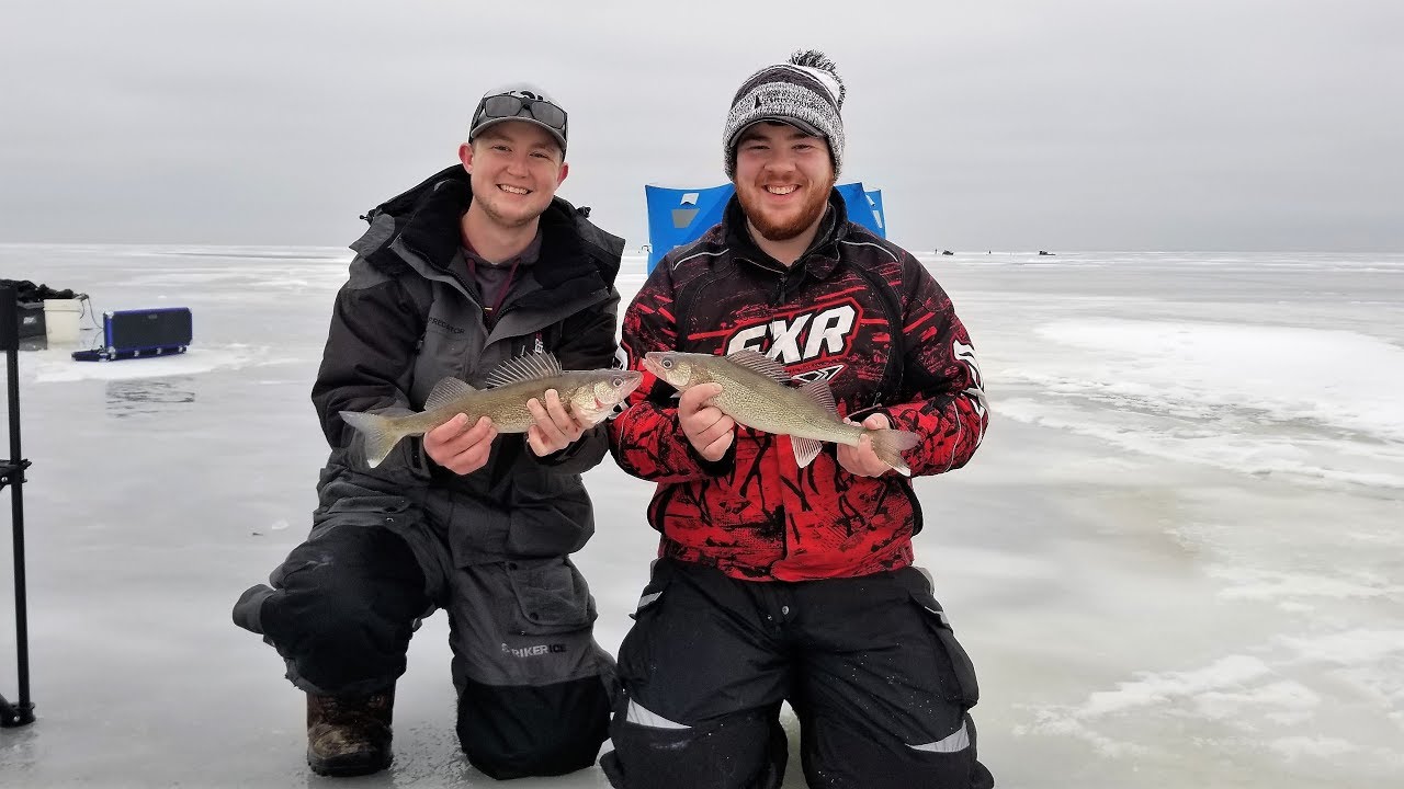 Walleye Limits on Red Lake (NEARLY HOOKS IN FACE)