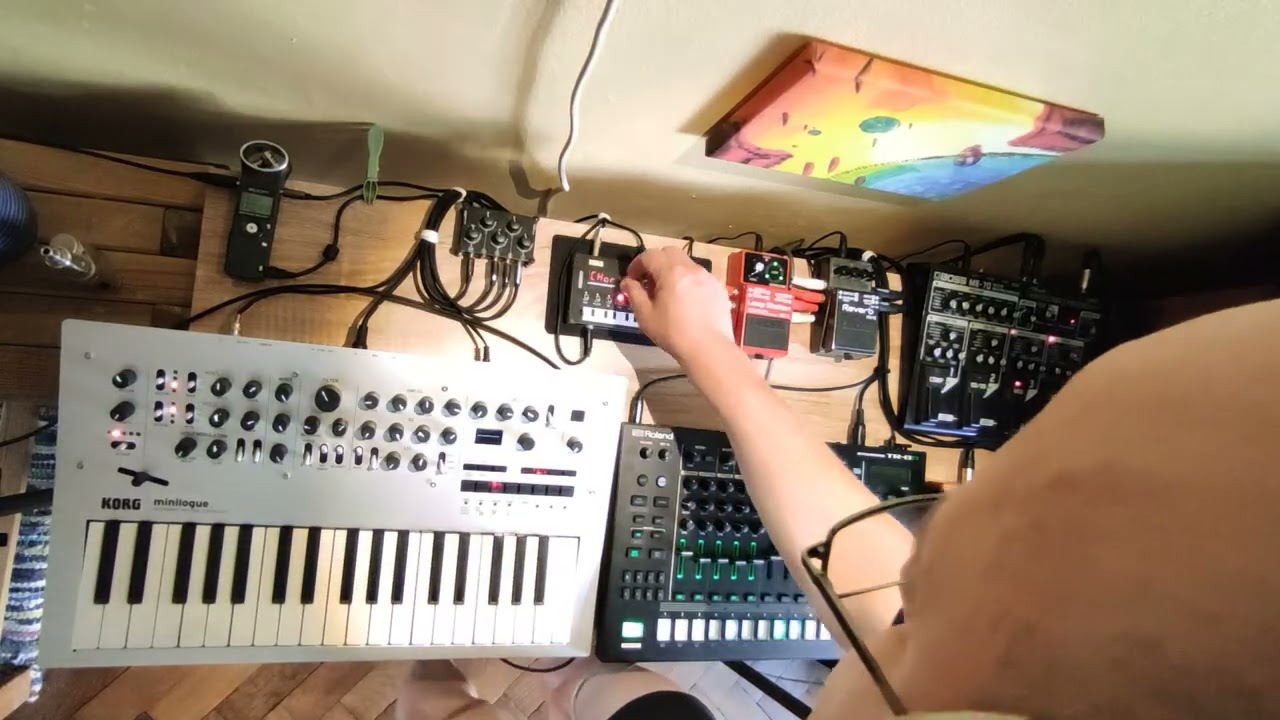 Techno Trip Live 2025.07.19 # Korg Monologue, Korg Minilogue, Roland TR-8S