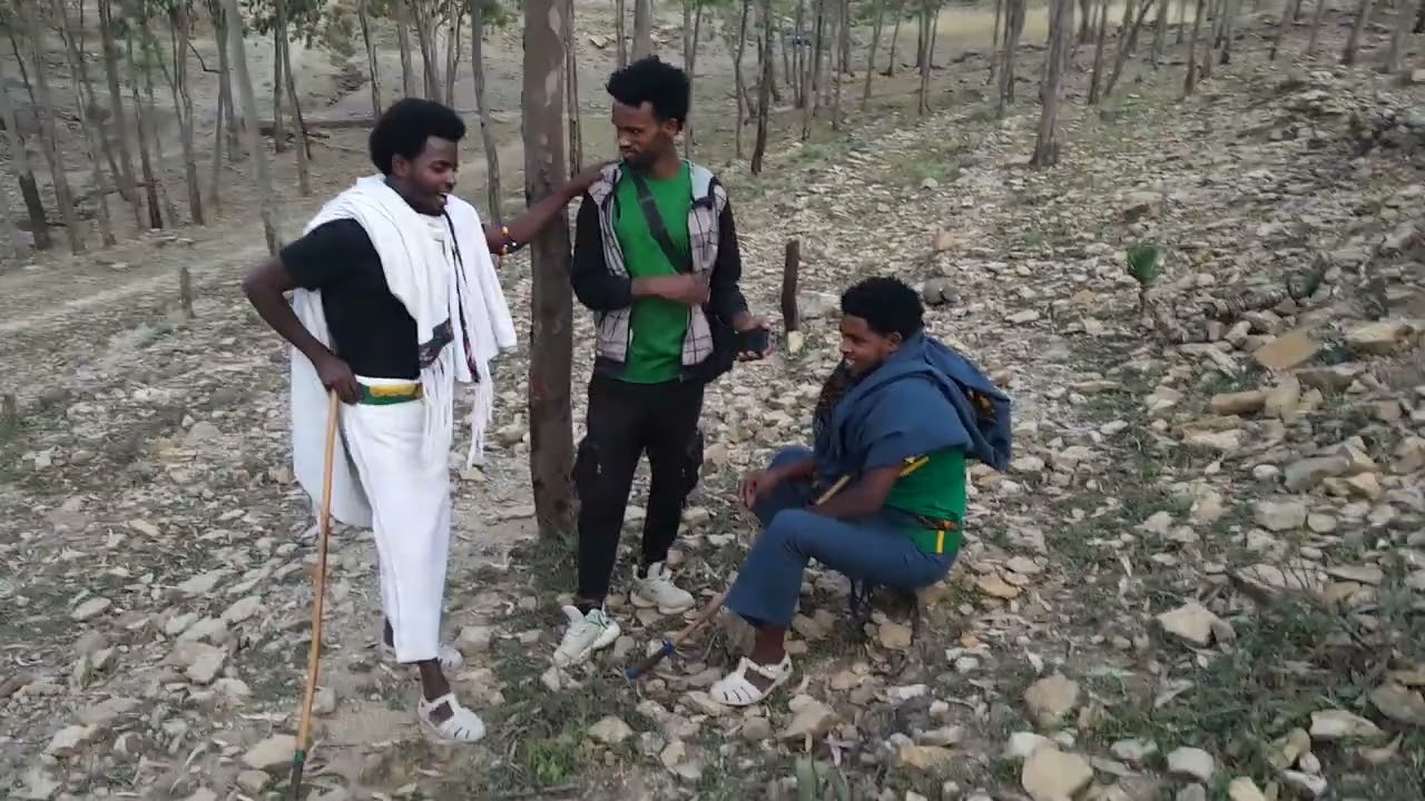 ሃመያኹም ደቂ ሓንቲ ትግራይ ሃየብ ጉመየ ደቅነይ።ሳብስክራብ የትረስዑ።
