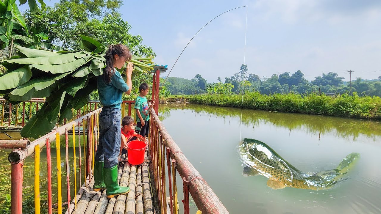Children's Summer Vacation: Caring for the new herd of pigs, drain the pond to catch fish