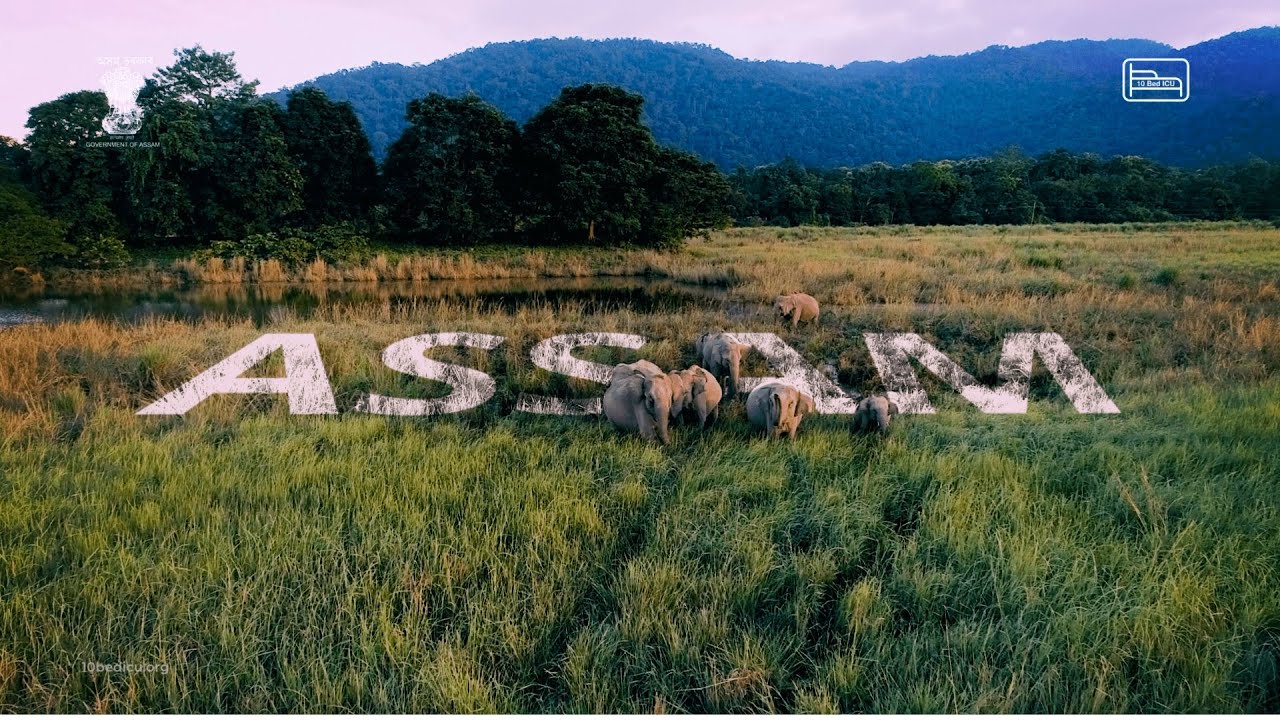 10BEDICU PROJECT : ASSAM