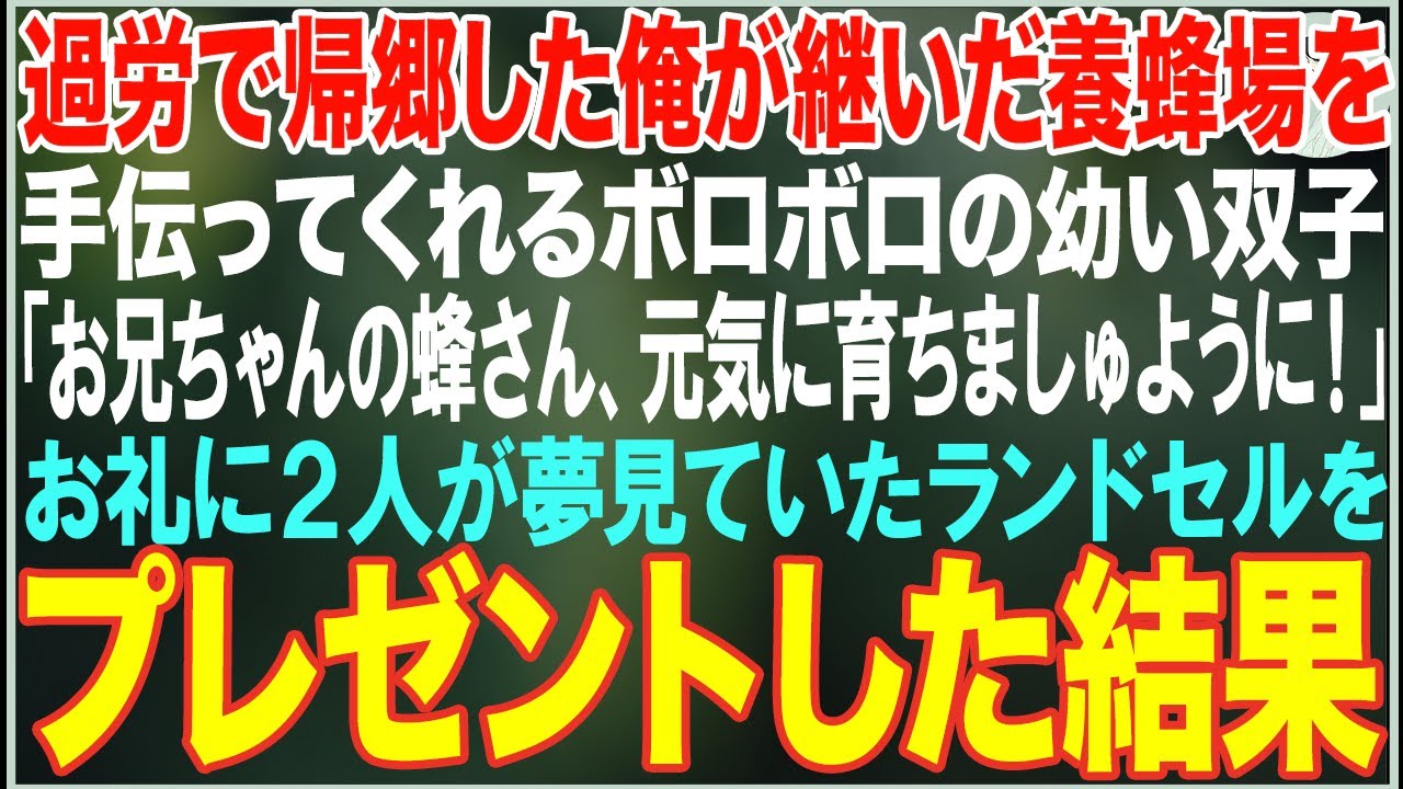 【感動する話】過労で帰郷した俺が継いだ養蜂場を手伝ってくれるボロボロの幼い双子「蜂さん、元気に育ちましゅように！」→お礼に2人が夢見ていたランドセルをプレゼントした結果【朗読・スカッと・泣ける話】