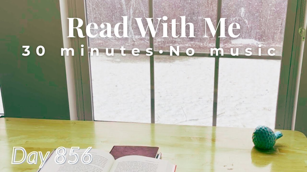 Read With Me in a Snowstorm ❄️ | 30 Minutes by the Window · No Music · Day 856