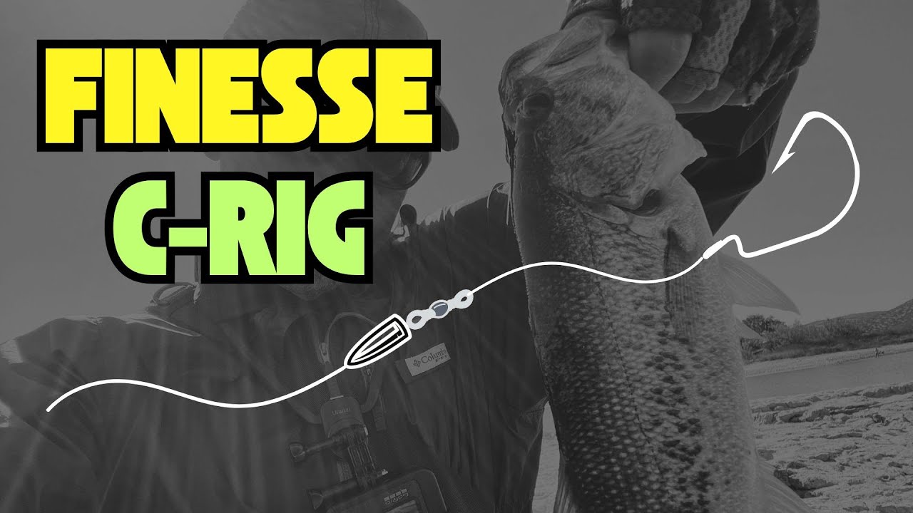 Finesse Carolina Rig Mastery | Senko & Keitech Tricks | Bass Fishing Rig 101