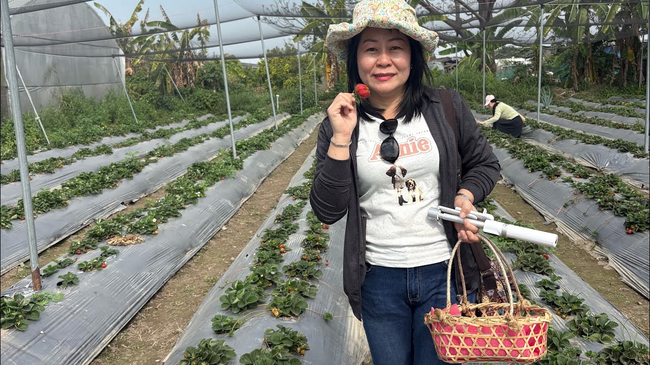 Cuối tuần đi dạo 