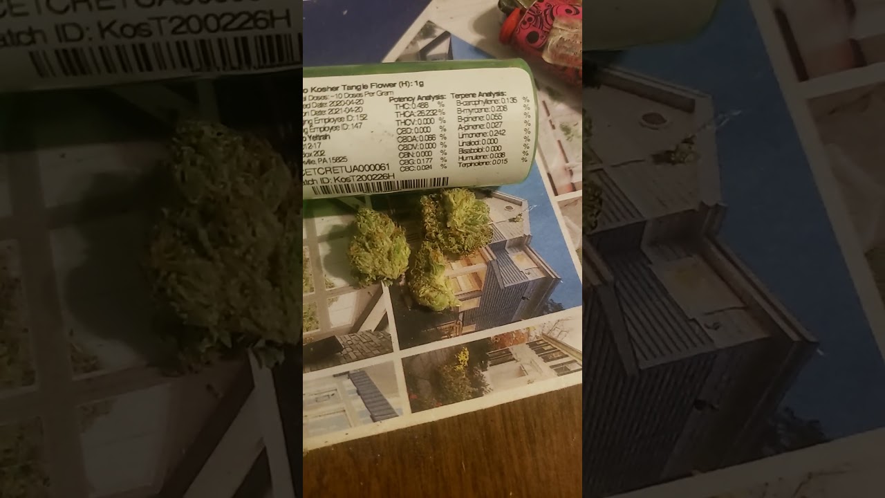 🍊💨Medical Marijuana Review #51 : Kosher Tangie : Cresco