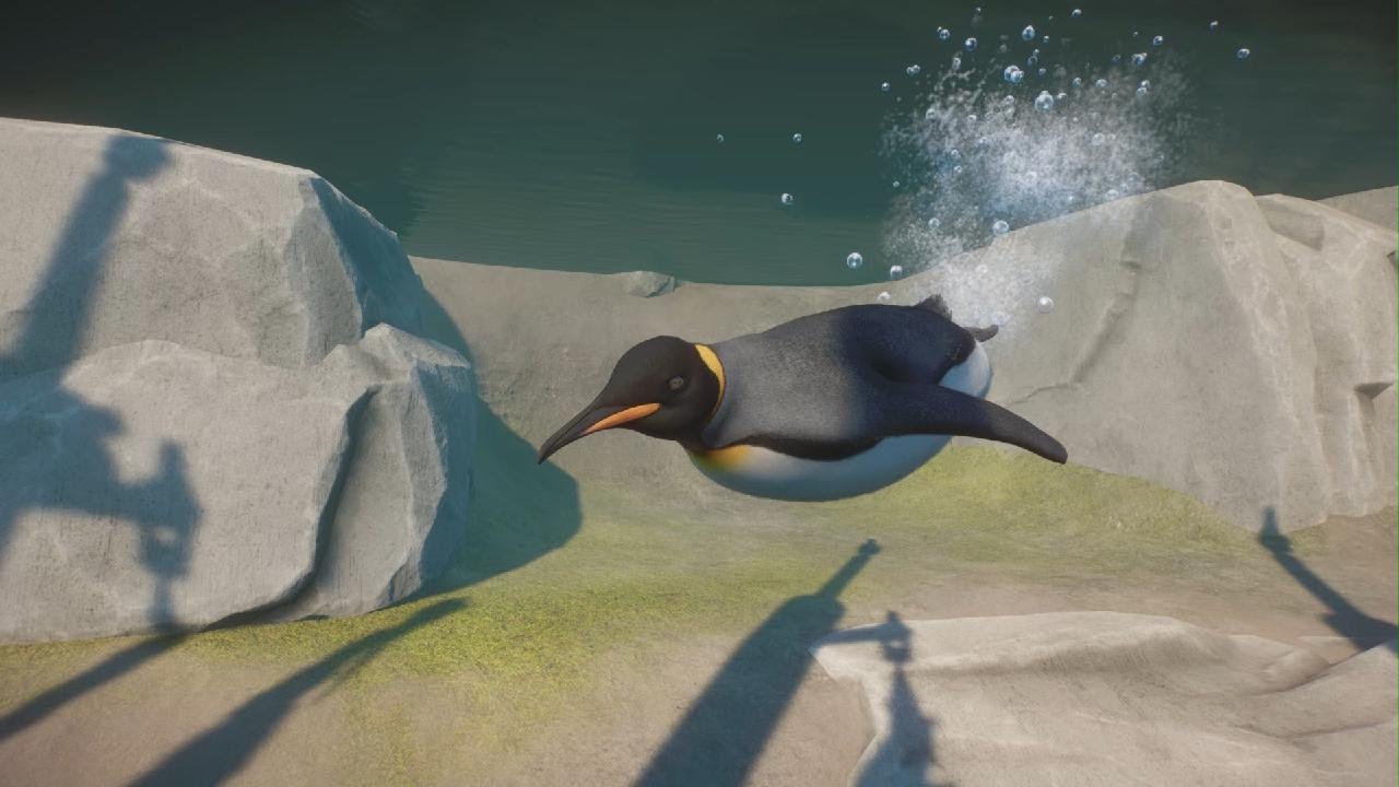 Planet Zoo Aquatic Pack: King Penguin