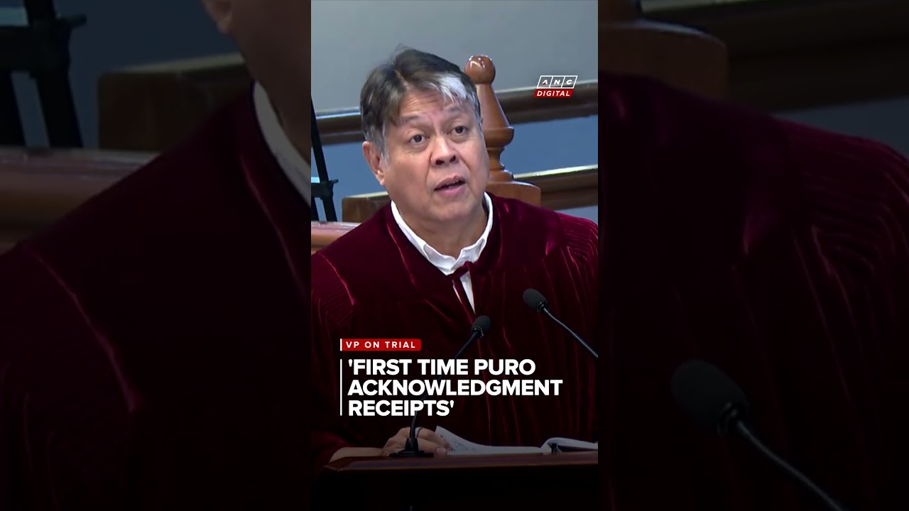 COA auditor Wamil on OVP CIF: First time in 10 years experience to receive only ARs | ANC