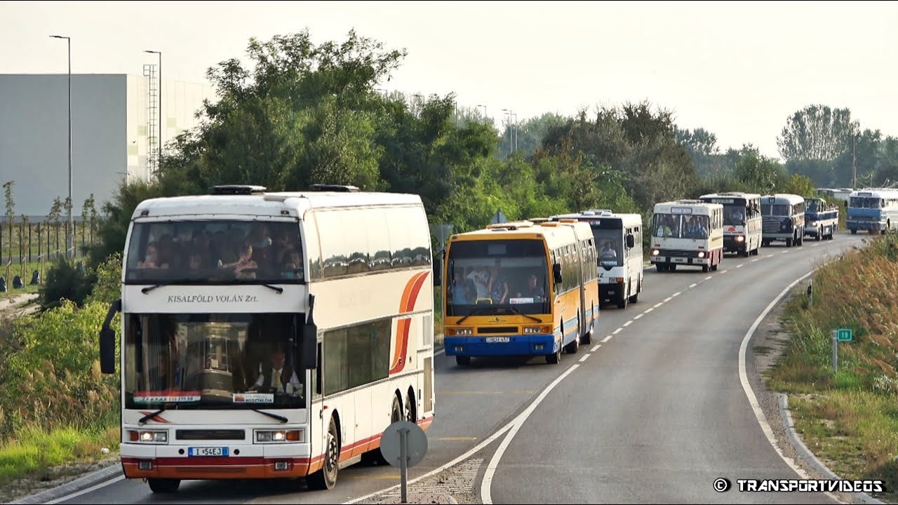 2023.09.30. - 81 db autóbusz felvonulása az V. Ferihegyi Ikarus Találkozón