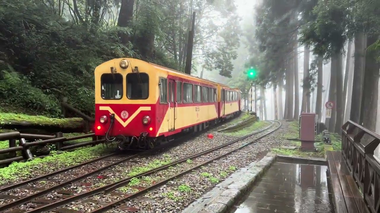 【Alishan Forest Railway】Train NO. 5 Alishan Express Arrived at Sacred Tree Station｜5次阿里山號抵達神木站