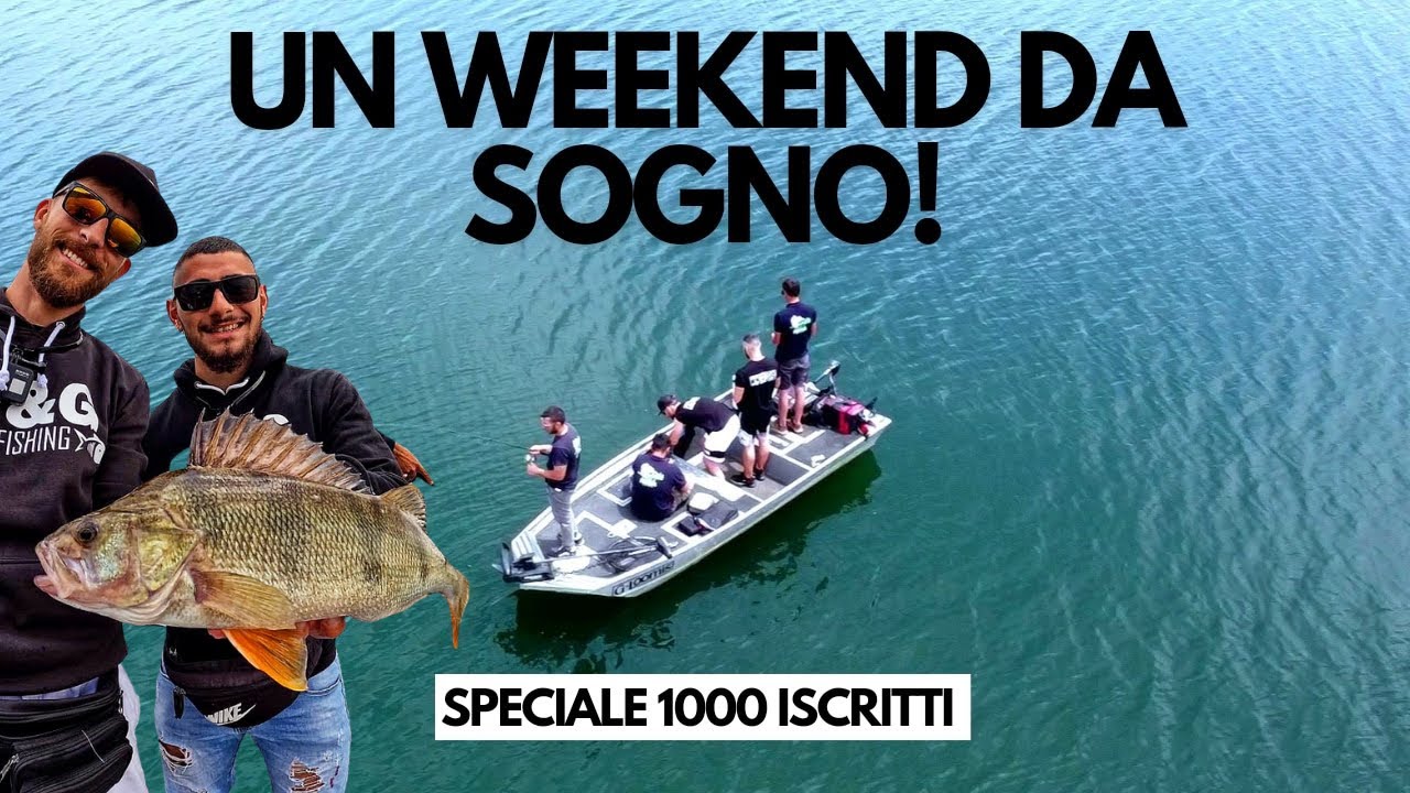 UN WEEKEND DA SOGNO! / Speciale 1000 ISCRITTI🔥 - i persici GIGANTI del LAGO ARVO🐲 #perch #fishing