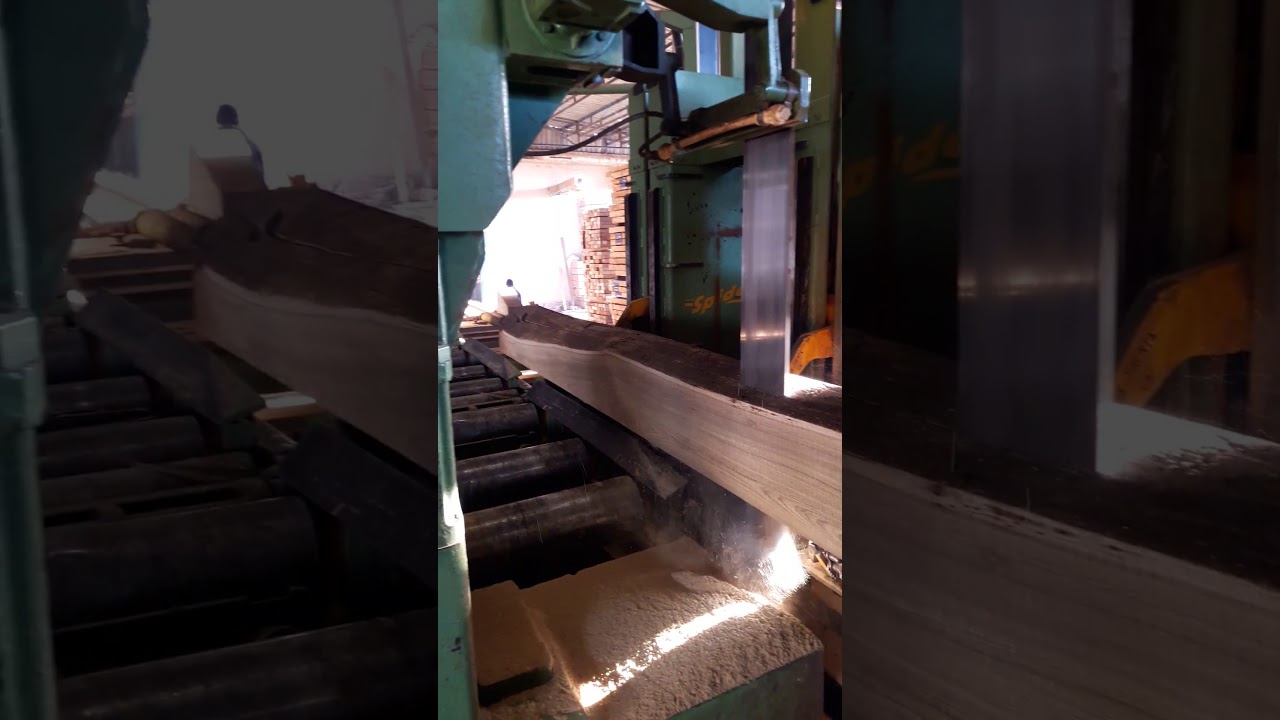 kereste teak ağacı kesimi  ağa&ccedil; nası kesilir şeritte ağa&ccedil; kesme myanmarteakağacı g&uuml;ndem