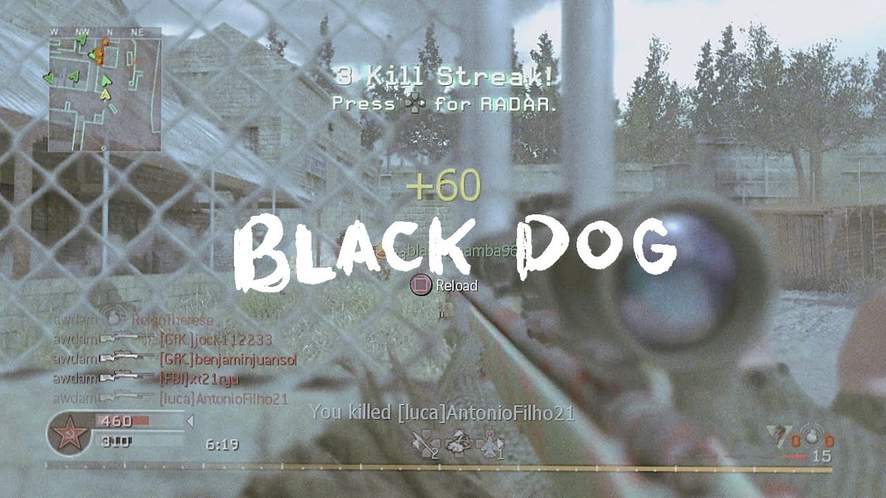 Adam & Puma - Black Dog