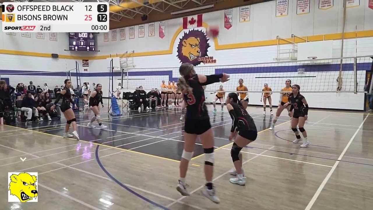 Offspeed (10) vs Bison Brown (25) Set 2