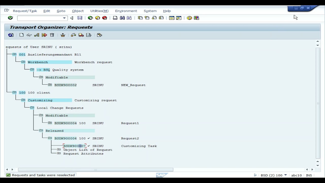 SE10 Release Transport request in SAP