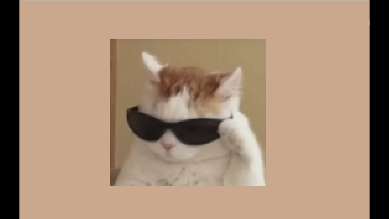 ᴘᴏᴠ: ʏᴏᴜʀ ʜᴀᴘᴘʏ ˆˆ