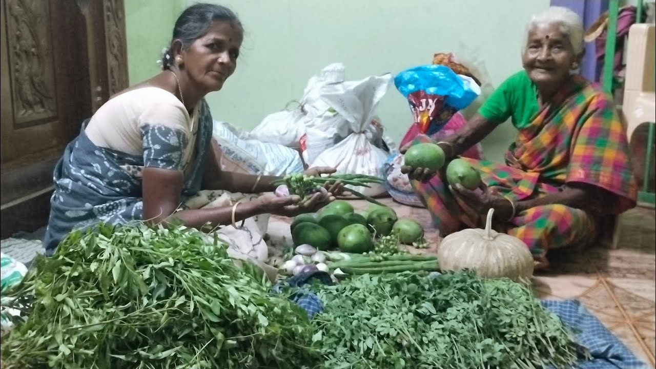 அக்கா வீட்டுல இருந்து என்னென்ன எடுத்துட்டு வந்துருக்கோம்னு பார்க்கலாம் வாங்க 