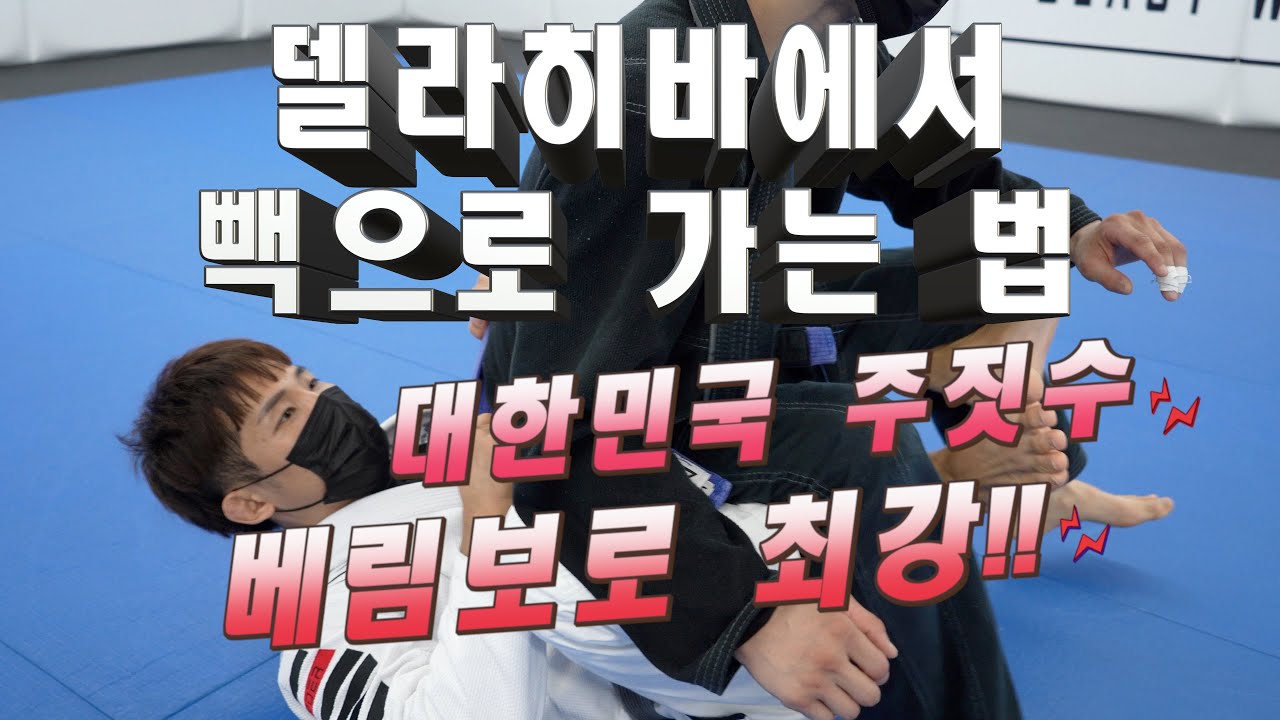 대한민국 주짓수 최강 채완기가 알려주는 3분 주짓수 [델라히바 to 빽포지션02]